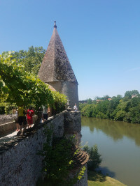 Albi: along the Tarn river.