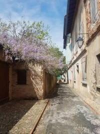 Quiet street in Lisle sur Tarn.